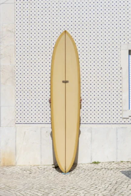 Wavegliders - Space Pin 8'6
